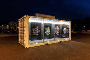 Femketeussinksurvivalofthefittest10