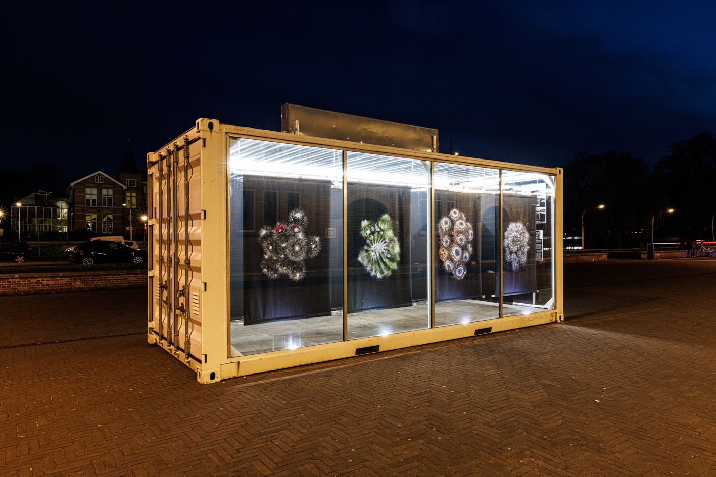 Femketeussinksurvivalofthefittest10