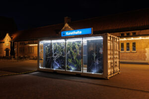 Femketeussinksurvivalofthefittest11