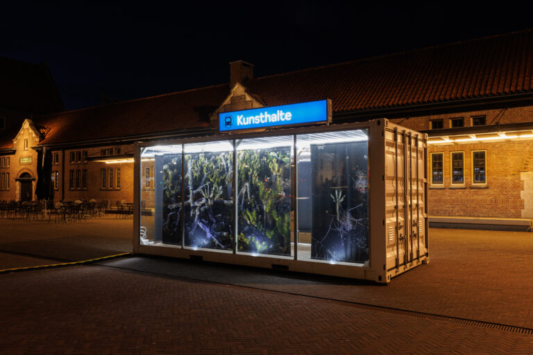 Femketeussinksurvivalofthefittest11