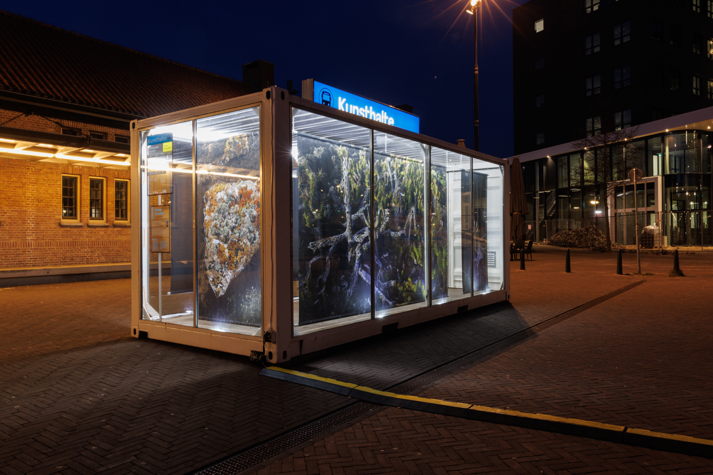 Femketeussinksurvivalofthefittest9