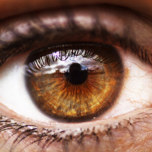 Ab9a9226 enhancedbew3web