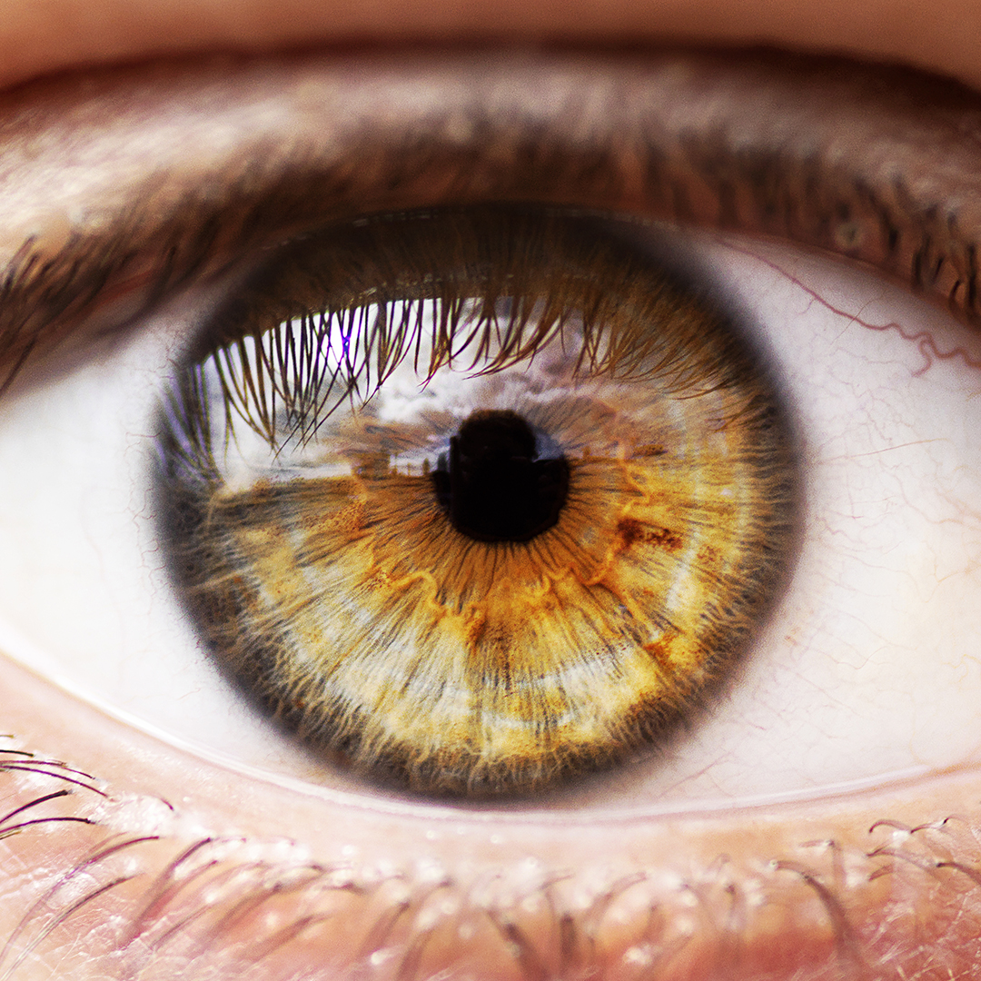 Ab9a9273 enhancedbewweb